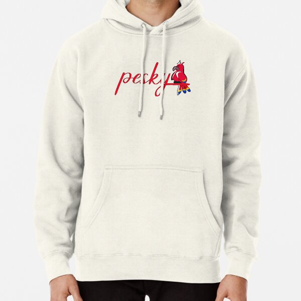 Grian Pesky Bird  Pullover Hoodie RB3101 product Offical grain Merch